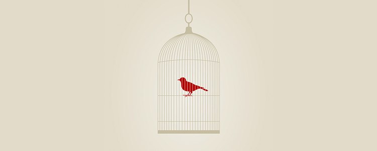 哪里便宜ddos在线攻击工具